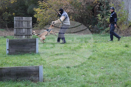 Добрич - полицейски кучета - питомник - полицейски кучета