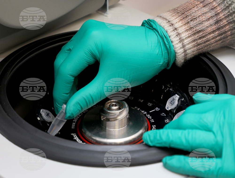 Cabinet Allocates BGN 3.4 Million for 3 Projects of Promising Young Scientists