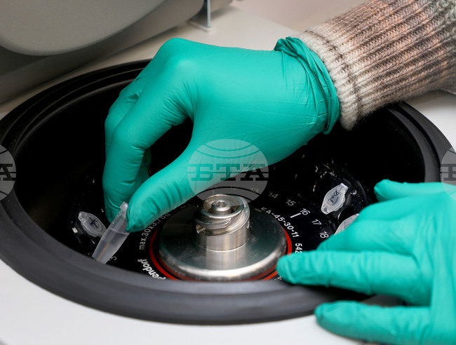 Cabinet Allocates BGN 3.4 Million for 3 Projects of Promising Young Scientists