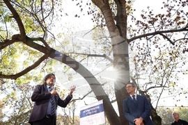 Площад „Вацлав Хавел“ - скулптура