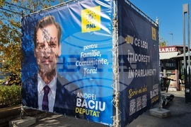 Румъния - предизборни плакати
