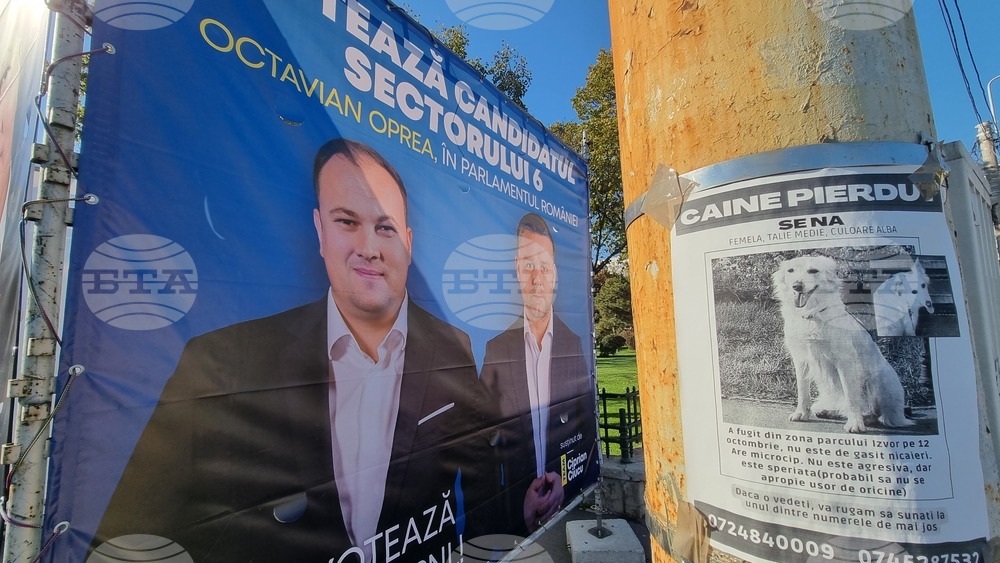 Румъния - предизборни плакати