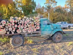 Снимка: ИАГ