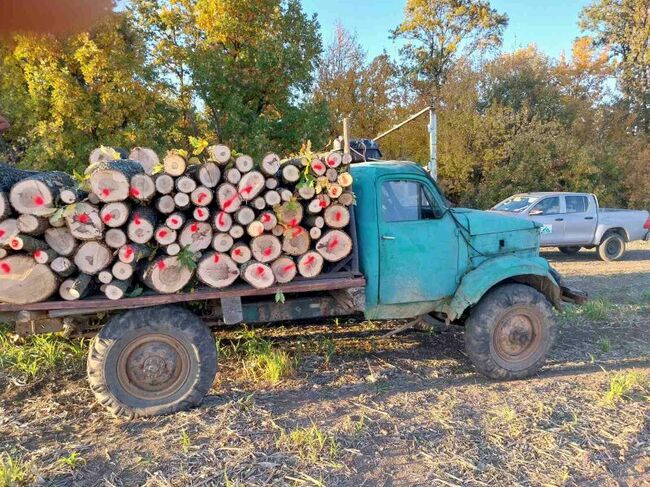 Горските инспектори от ИАГ задържаха незаконно добити дърва за огрев и камион без регистрация във Видинско