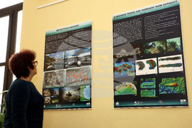 Варна - музей - Международен ден на Черно море