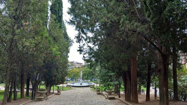 Община Стара Загора: Аерозол срещу боровата процесионка ще бъде разпръснат с дрон в парк „Аязмото“