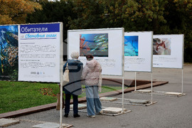 Варна - Международен ден на Черно море - изложба