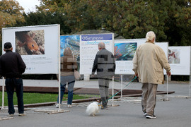 Варна - Международен ден на Черно море - изложба