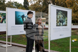 Варна - Международен ден на Черно море - изложба