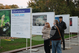 Варна - Международен ден на Черно море - изложба