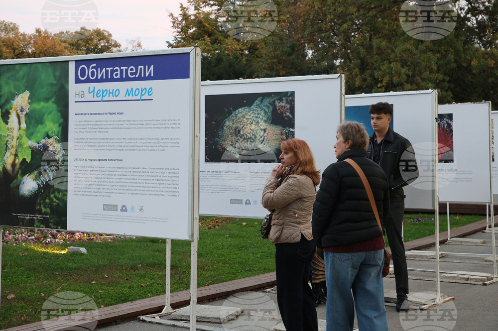 Изложба подводна фотография във Варна разказва за обитателите на Черно море и Световния океан