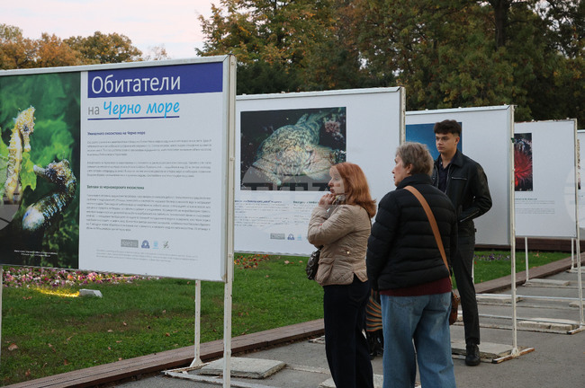 Изложба подводна фотография във Варна разказва за обитателите на Черно море и Световния океан