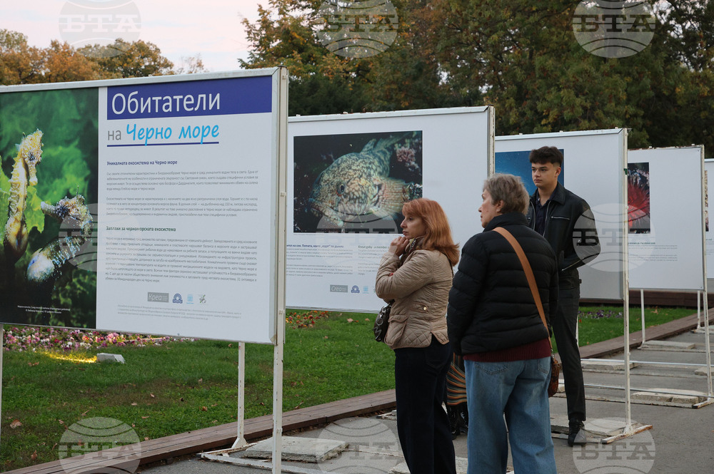 Варна - Международен ден на Черно море - изложба