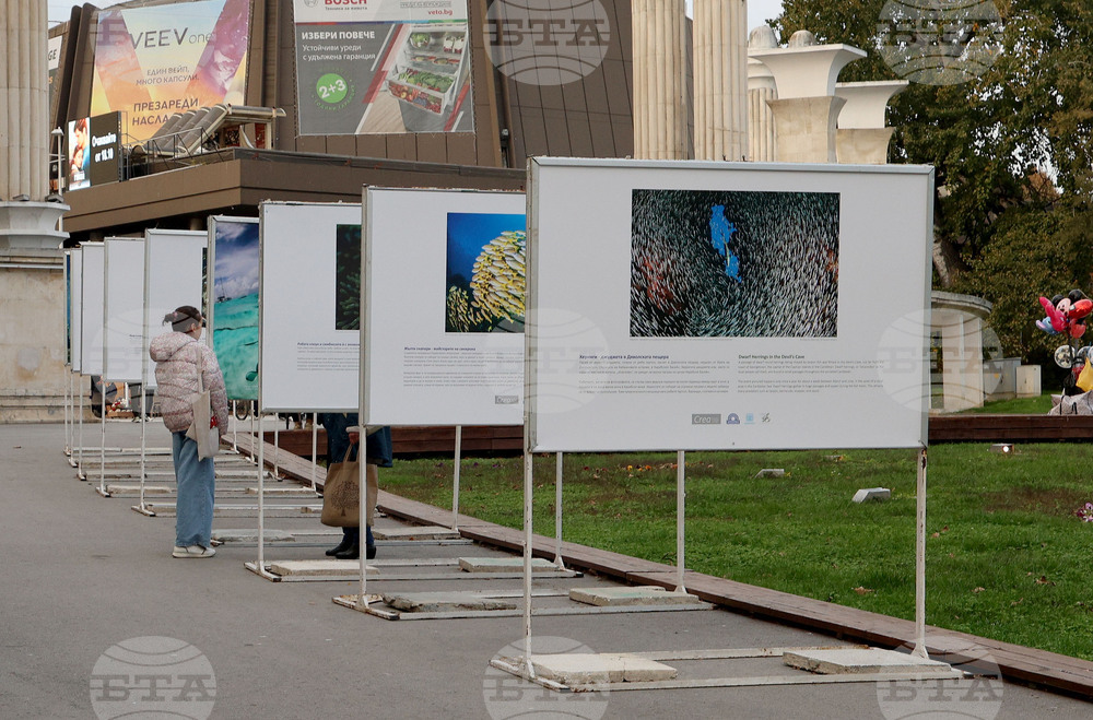 Варна - Международен ден на Черно море - изложба