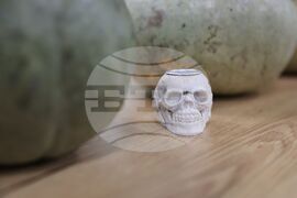 Бургас - Младежки международен център - Хелоуин