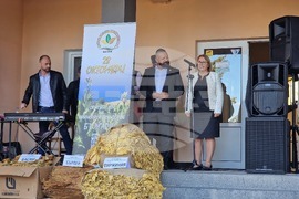 Пловдив - Световен ден на тютюнопроизводителите