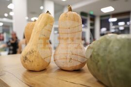 Бургас - Младежки международен център - Хелоуин