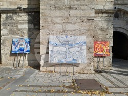 Снимка: Община Видин