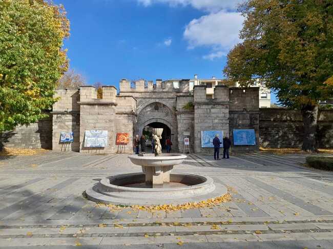 Община Видин: В Деня на народните будители във Видин бе открита изложба на художника Чавдар Петров