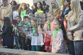 Петрич - Ден на народните будители