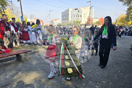 Петрич - Ден на народните будители