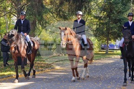 Шумен - Държавно предприятие „Кабиюк” - 160-годишнина - празник