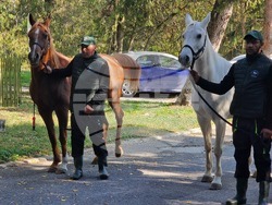 Шумен - Държавно предприятие „Кабиюк” - 160-годишнина - празник