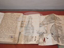 Снимка: Българска академия на науките