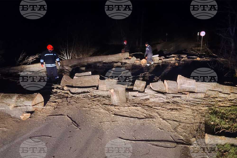 Бурният вятър в Сливен е съборил дървета край път I-6, които са разчистени
