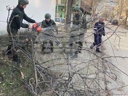 Военнослужещи помагат за преодоляването на последиците от силния вятър във Враца