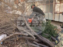 Военнослужещи помагат за преодоляването на последиците от силния вятър във Враца