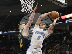 Magic Cavaliers Basketball