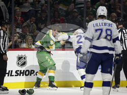 Lightning Wild Hockey