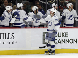 Lightning Wild Hockey