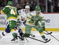 Lightning Wild Hockey