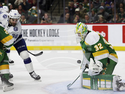 Lightning Wild Hockey