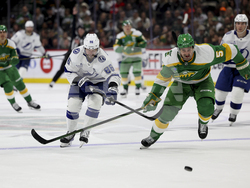 Lightning Wild Hockey