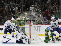 Lightning Wild Hockey