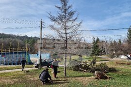 Монтана - силен вятър - щети