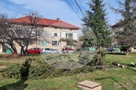 Монтана - силен вятър - щети