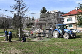 Монтана - силен вятър - щети