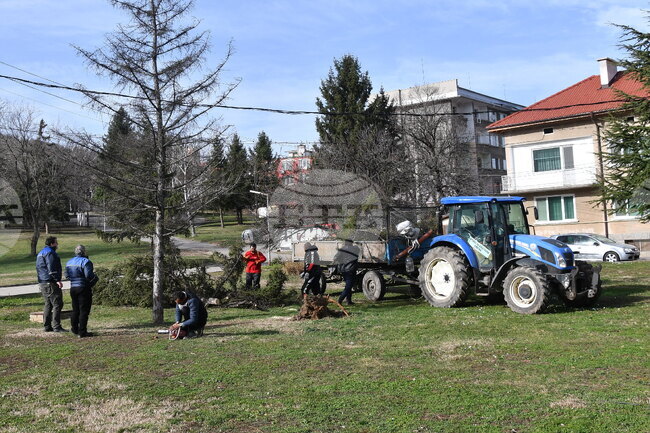 Монтана - силен вятър - щети