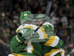 Lightning Wild Hockey