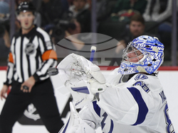 Lightning Wild Hockey