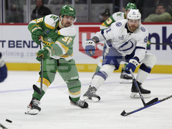 Lightning Wild Hockey