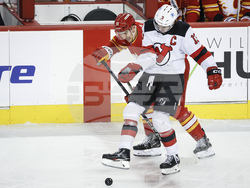 Devils Flames Hockey