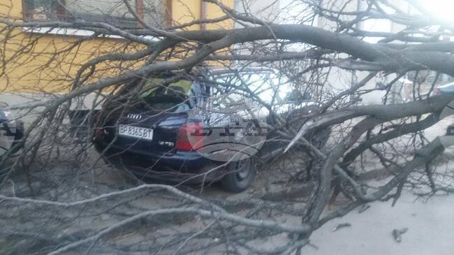 Във Враца от няколко часа духа ураганен вятър с пориви със скорост над 120 км/ч, има сериозни щети, съобщи кметът Калин Каменов