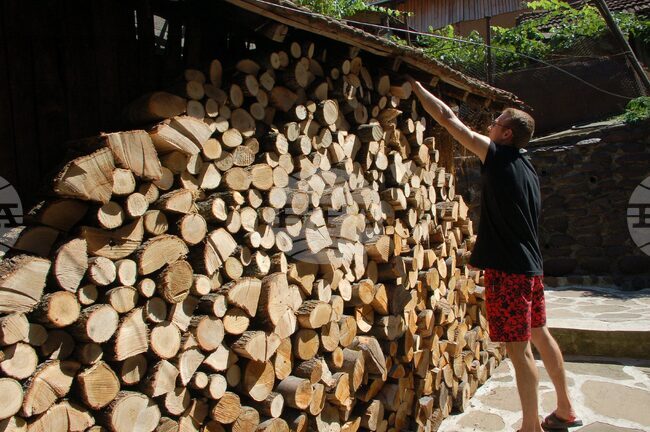 При проверки в Монтанско са открити големи количества незаконно добити дърва, съобщиха от полицията