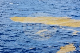 Ден 24 - Научноизследователски кораб „Св. св. Кирил и Методий“ - Атлантически океан - ежедневие