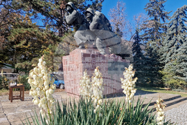 Търговище - войнишка задушница - общоградско поклонение